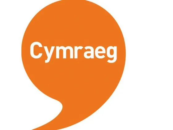 Bathodyn Cymraeg